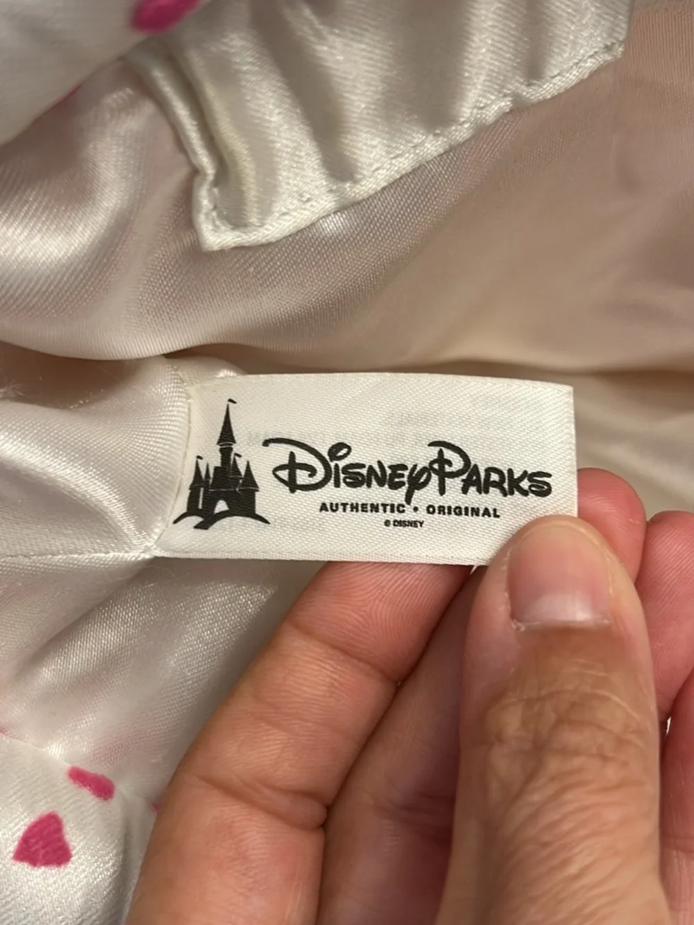 Disney Parks Hat